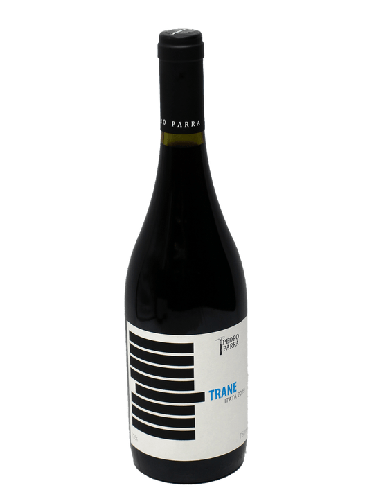 2019 Pedro Parra TRANE [WA95]-Bottle Barn