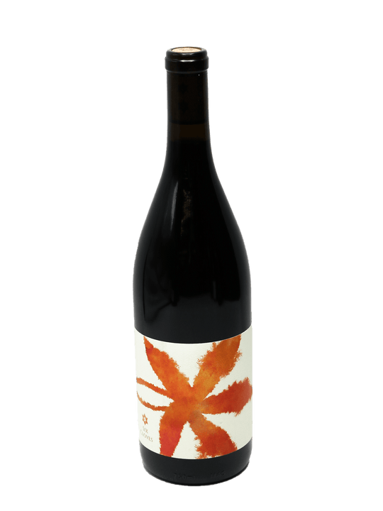 2019 Six Cloves Benguerel Family Vineyard Primitivo-Bottle Barn