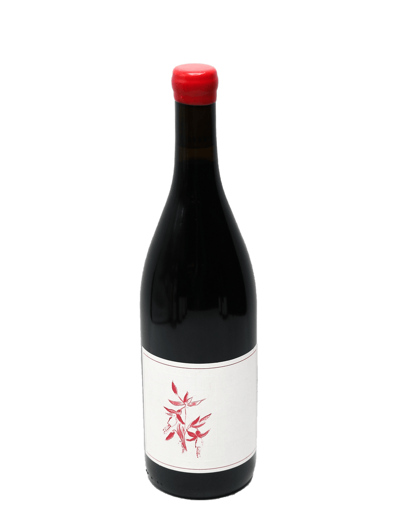 2020 Arnot-Roberts Peter Martin Ray Vineyard Pinot Noir-Bottle Barn