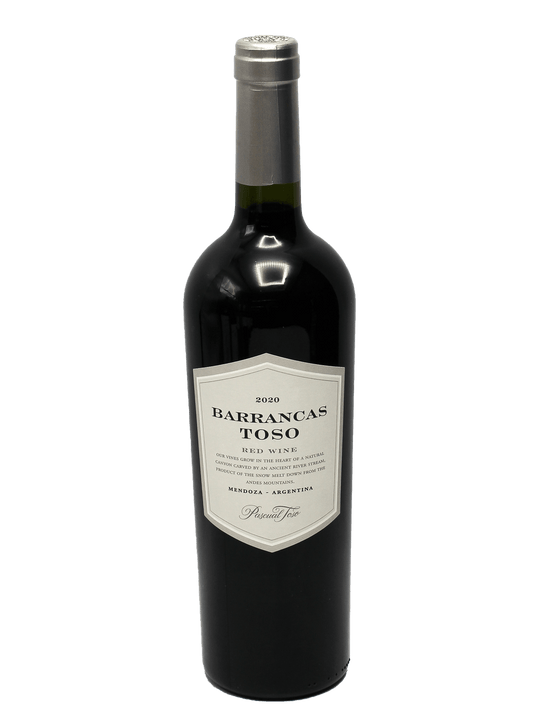 2020 Pascual Toso Barrancas Mendoza Red Blend [JS91]-Bottle Barn