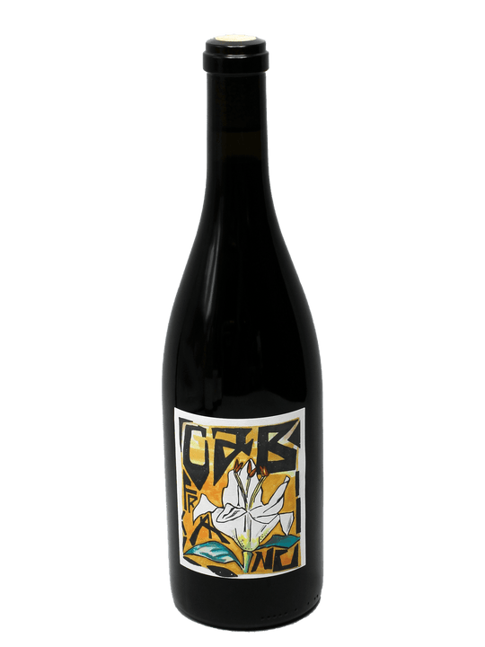 2020 Üseless Ümlaüt Cabernet Franc-Bottle Barn