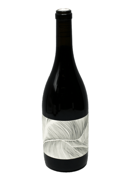 2021 Broc Cellars Vine Starr Zinfandel-Bottle Barn