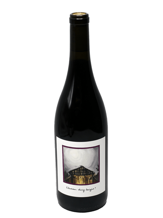 2021 Little Trouble Grist Vineyard Carbonic Zinfandel-Bottle Barn