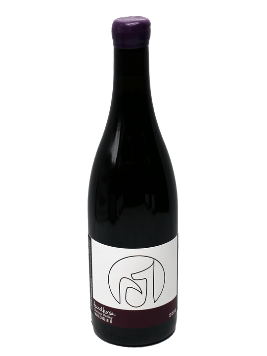 2023 Birdhorse Suisun Valley Valdiguie-Bottle Barn