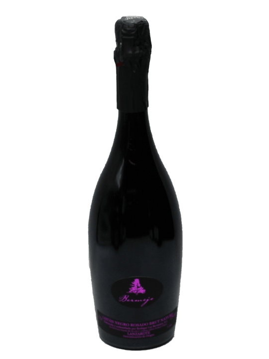 Los Bermejos Listan Negro Rosado Brut Nature-Bottle Barn